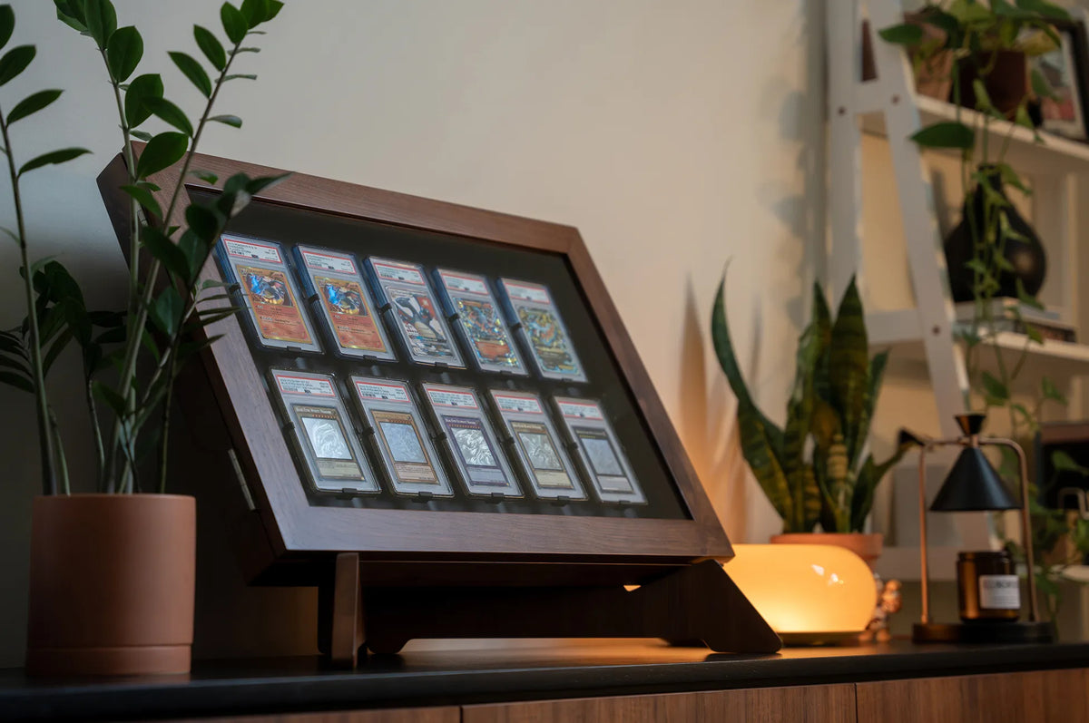 The display in a styled room, lamp lit, plants either side